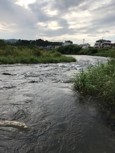 友釣り in名張川