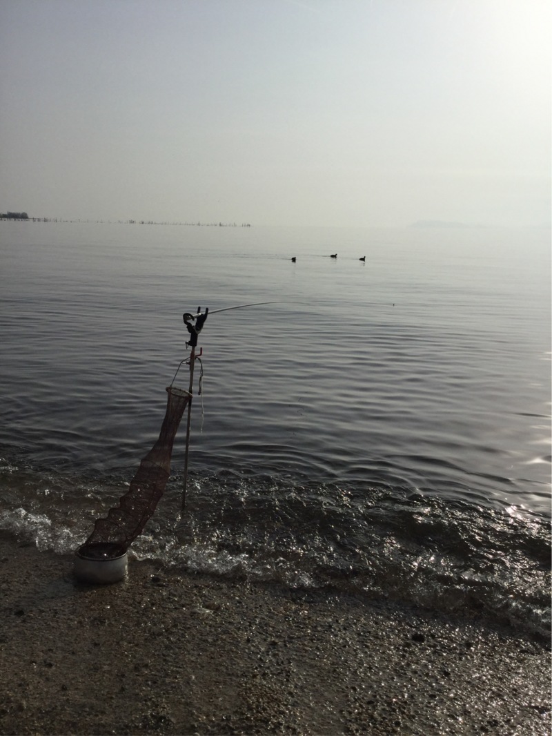 琵琶湖小鮎2