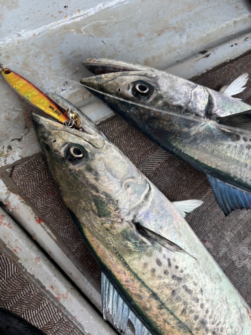 日本海ジギング釣行!!