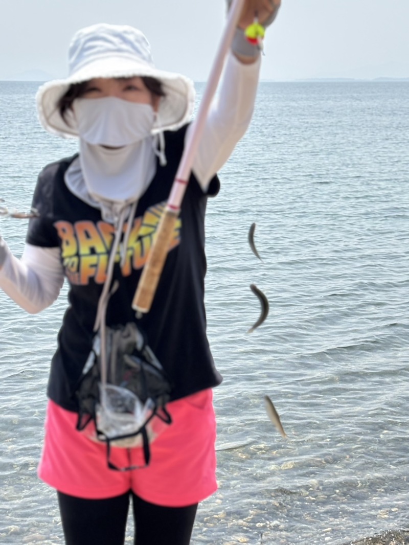 琵琶湖 小鮎