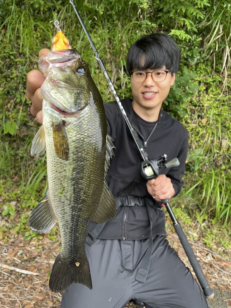 淡路島野池!