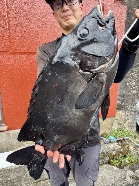 梶賀 底物