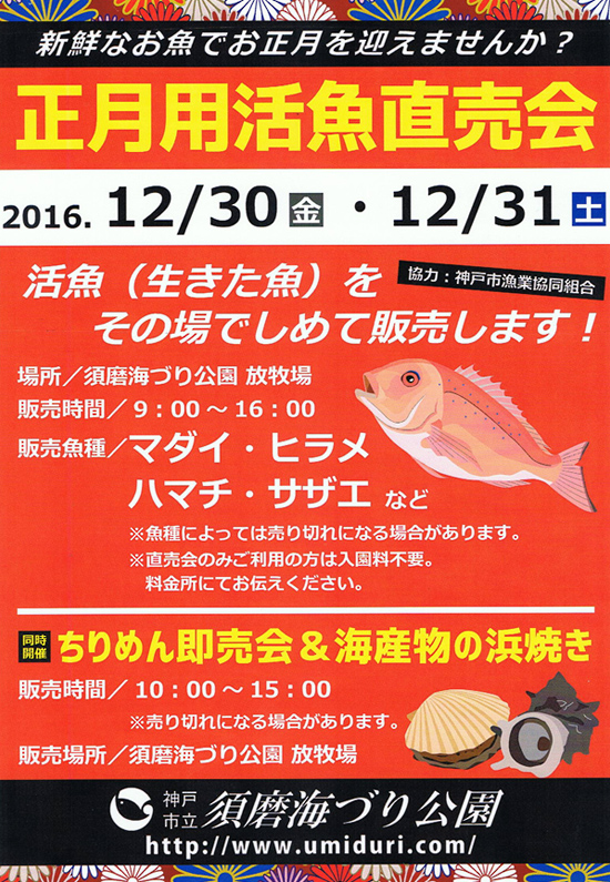正月用活魚直売会　神戸市立海づり公園