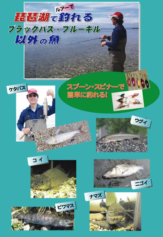 琵琶湖で釣れる(ルアー）ブラックバス・ブルーギル以外の魚
